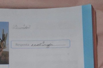 No lugar da divisa dos estados do RS e SC, aparece a Rodovia dos Imigrantes -  (crédito: Arquivo pessoal )