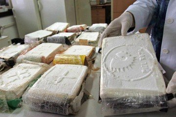 Atualmente, mais pasta base de cocaína, a base da substância final, pode ser extraída de uma planta de coca -  (crédito: Getty Images)