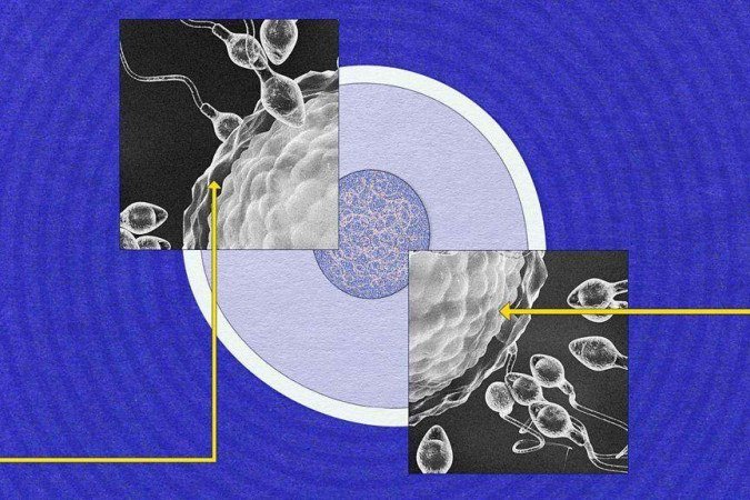 Os espermatozoides são a menor célula do corpo humano, mas também são extraordinariamente especializados -  (crédito: Alamy)
