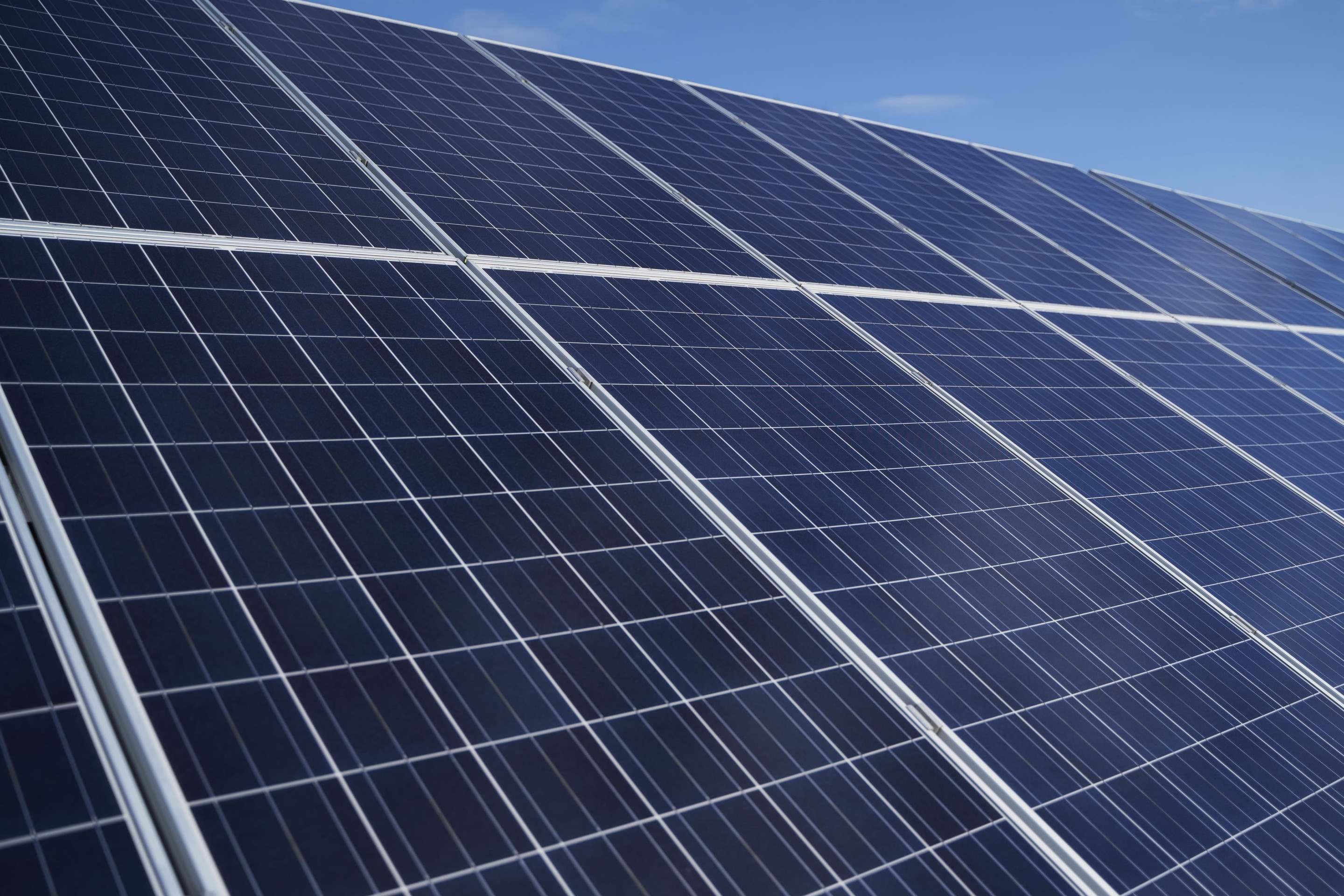 Cane Solar Canadian Solar anuncia expansão e nova frente de negócios