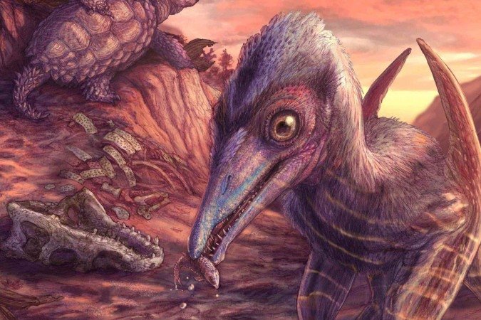 A mandíbula do pterossauro, que era tamanho de uma gaivota, foi preservada em uma rocha de 209 milhões de anos -  (crédito: Suzanne McIntire)
