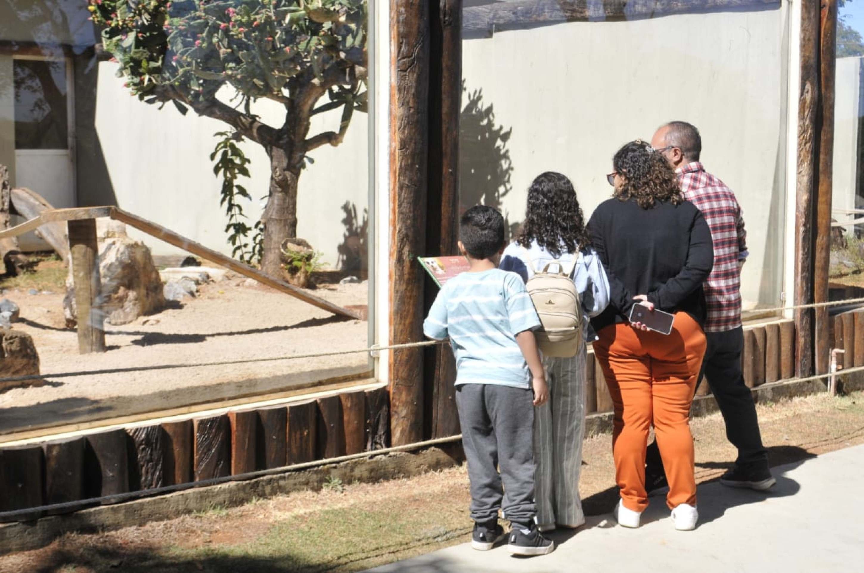 Zoológico reabriu nesta segunda-feira (7/7)