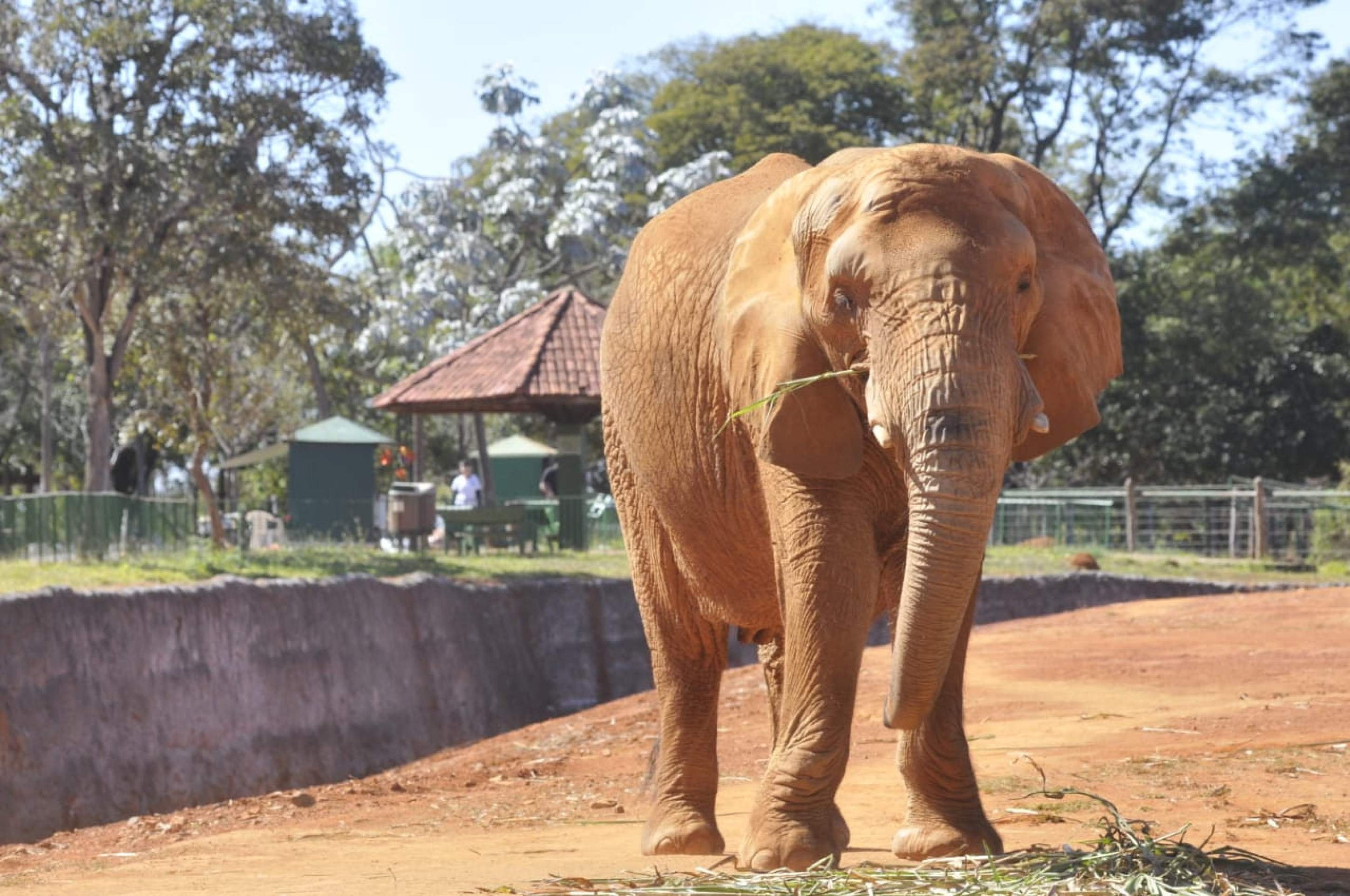 Zoológico reabriu nesta segunda-feira (7/7)