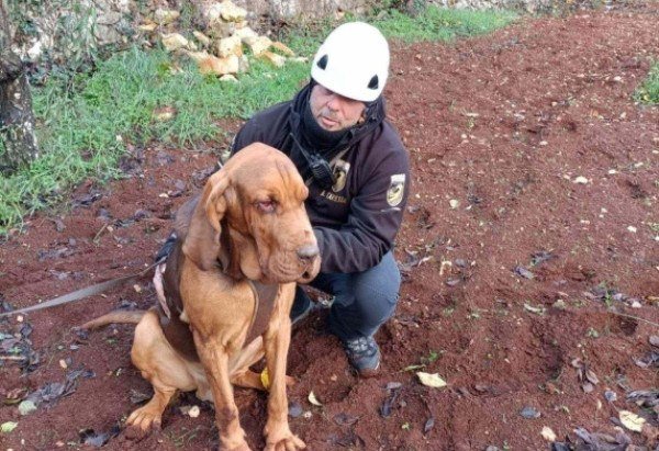 Reprodução / Facebook 