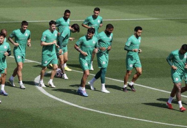 Foto: Cesar Greco / Palmeiras