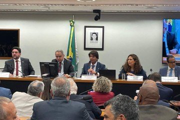 Participaram da audiência a ministra da Gestão, Esther Dweck; o governador do RS, Eduardo Leite; o prefeito de Salvador, Bruno Reis; e o presidente do Consad, Samuel Nascimento -  (crédito: Wal Lima/ CB )