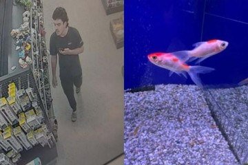 Homem engole peixe vivo em uma suposta homenagem ao presidente estadunidense Donald Trump -  (crédito: Reprodução/The Hills Police Area Command)