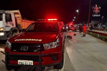 O cavalo estava solto na pista durante a madrugada. -  (crédito: Divulgação CBMDF)