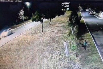 Câmeras registram momento em que grupo de capivaras é atropelado por carro
- (crédito: Cedido ao Correio) Câmeras registram momento em que grupo de capivaras é atropelado por carro
- (crédito: Cedido ao Correio)