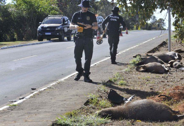  Marcelo Ferreira/CB/D.A Press