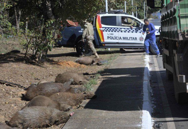Marcelo Ferreira/CB/D.A Press