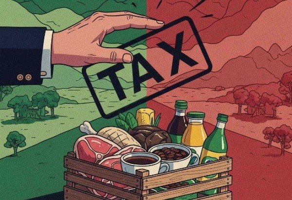 Ilustração gerada pelo Gemini One com base no artigo