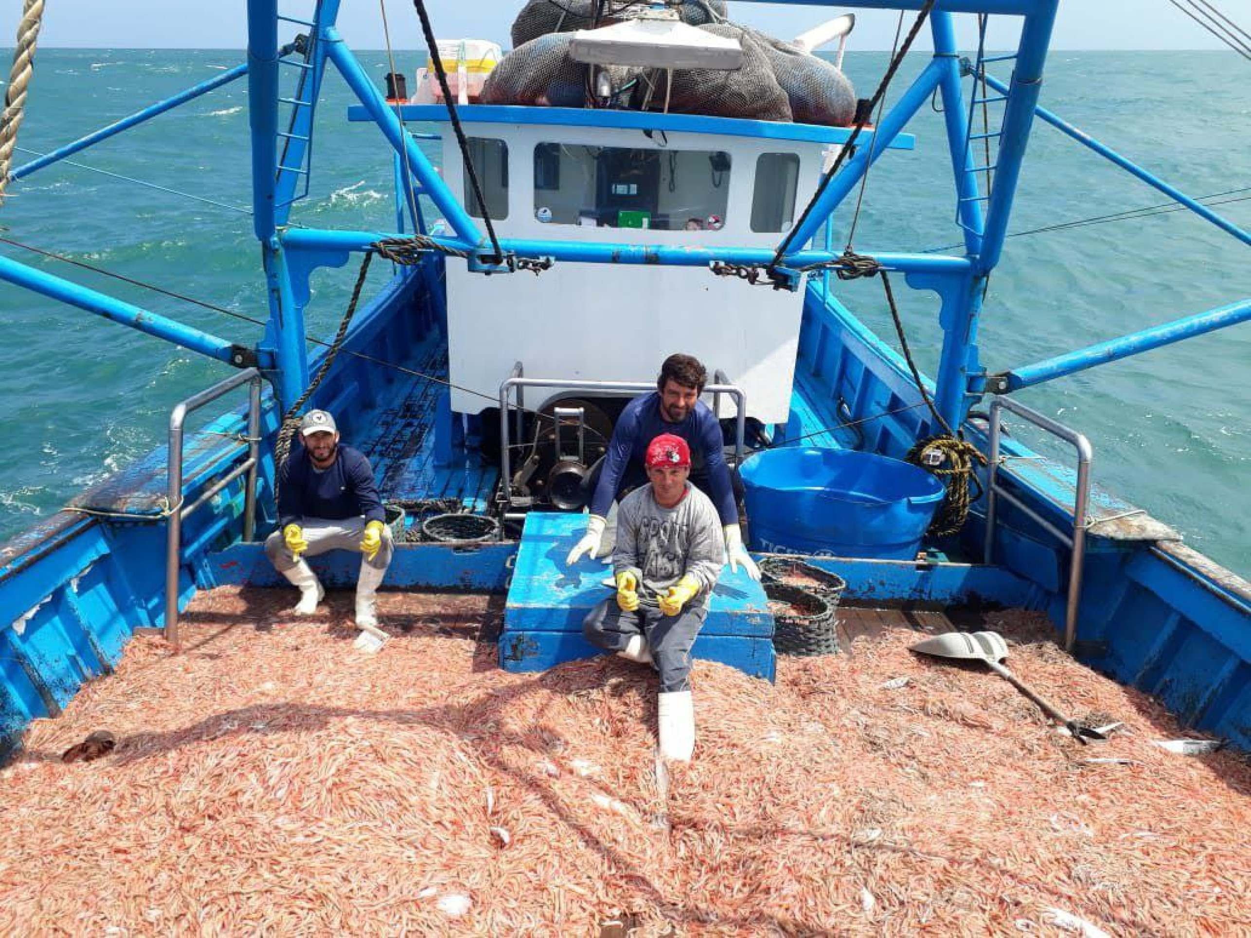 Setores já sentem efeitos de taxação prometida por Donald Trump