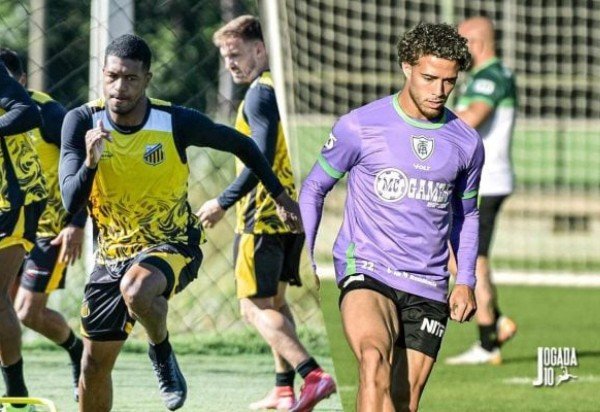 Divulgação/Novorizontino; Divulgação/América/MG