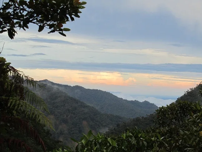 2ª - Floresta Amazônica – Maior floresta tropical do mundo. Com 7 milhões de km², se estende por partes do Amazonas, Amapá, Pará, Acre, Roraima, Rondônia, Mato Grosso e Maranhão. Também ocupa trechos da Venezuela, Colômbia, Bolívia, Equador, Suriname, Guiana e Guiana Francesa. - (crédito: Beyond the Ultimate wikimedia commons ) 2ª - Floresta Amazônica – Maior floresta tropical do mundo. Com 7 milhões de km², se estende por partes do Amazonas, Amapá, Pará, Acre, Roraima, Rondônia, Mato Grosso e Maranhão. Também ocupa trechos da Venezuela, Colômbia, Bolívia, Equador, Suriname, Guiana e Guiana Francesa. - (crédito: Beyond the Ultimate wikimedia commons )