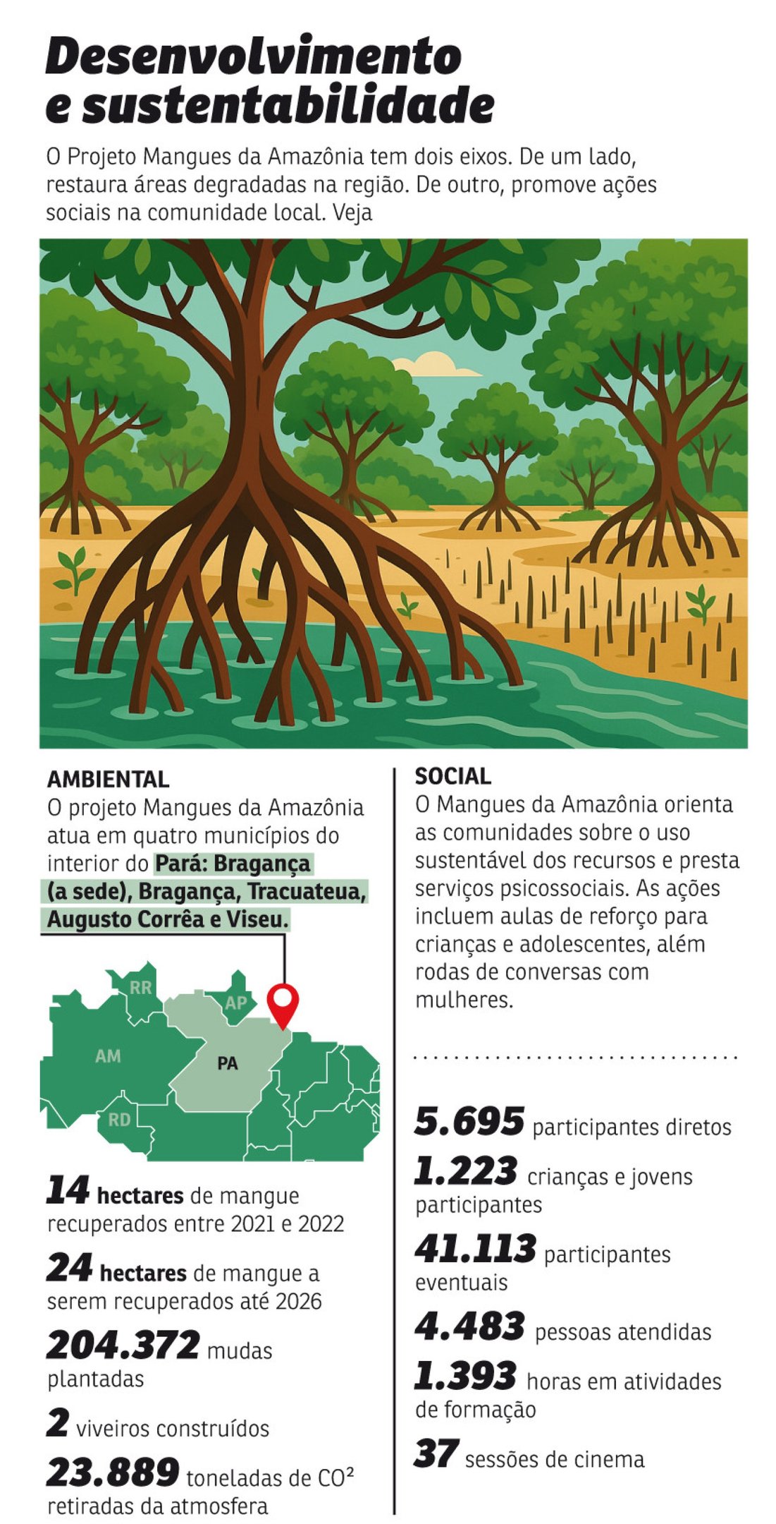 1407-Mangue_desenvolvimento