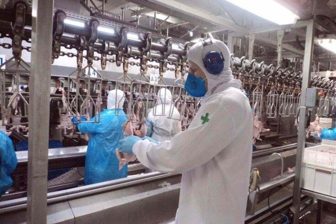 Frigoríficos já estão parando a produção destinada aos EUA, de acordo com informações da Abiec - (crédito: MAPA) Frigoríficos já estão parando a produção destinada aos EUA, de acordo com informações da Abiec - (crédito: MAPA)