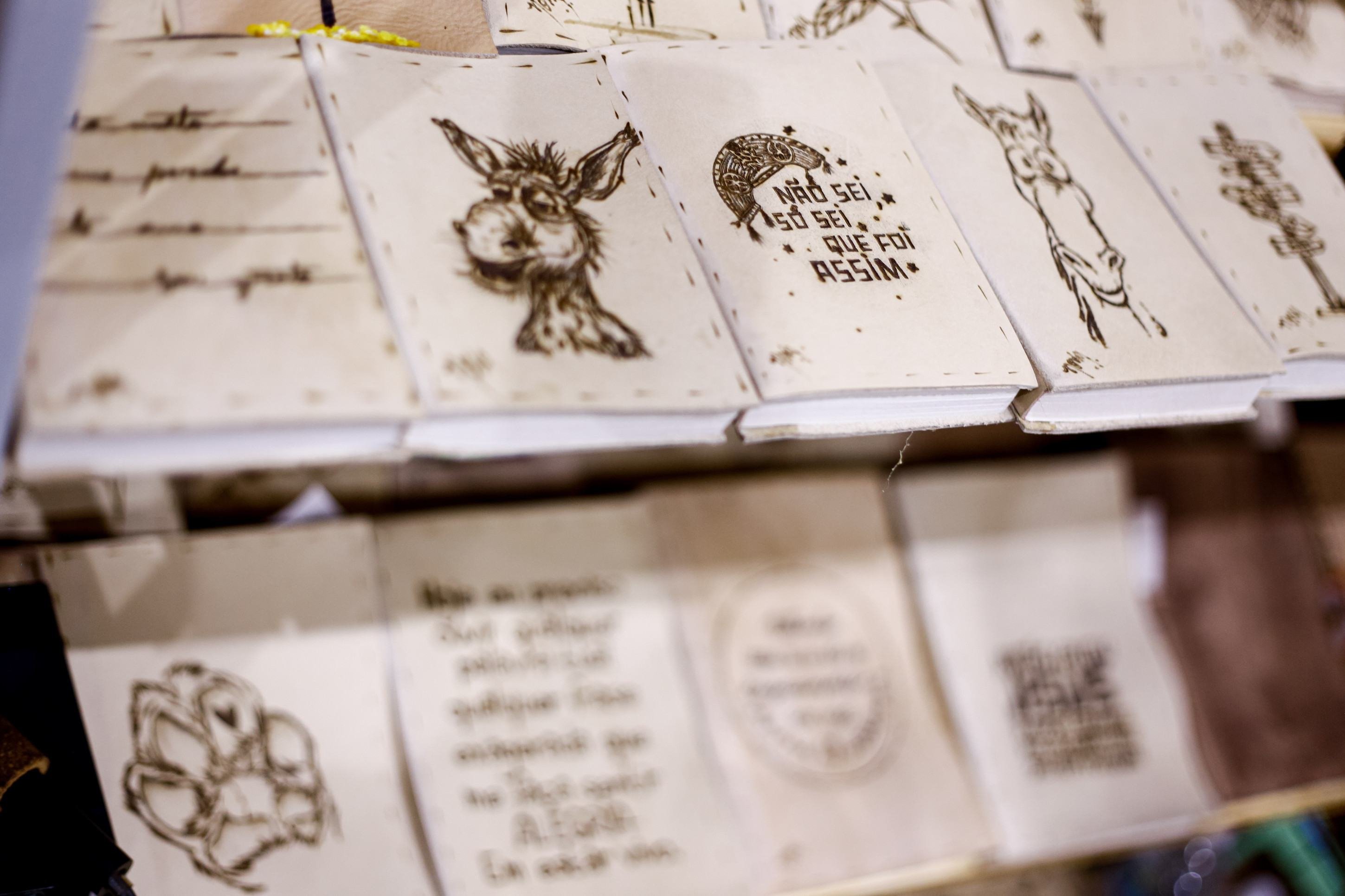  Artesanato de Brasilia.