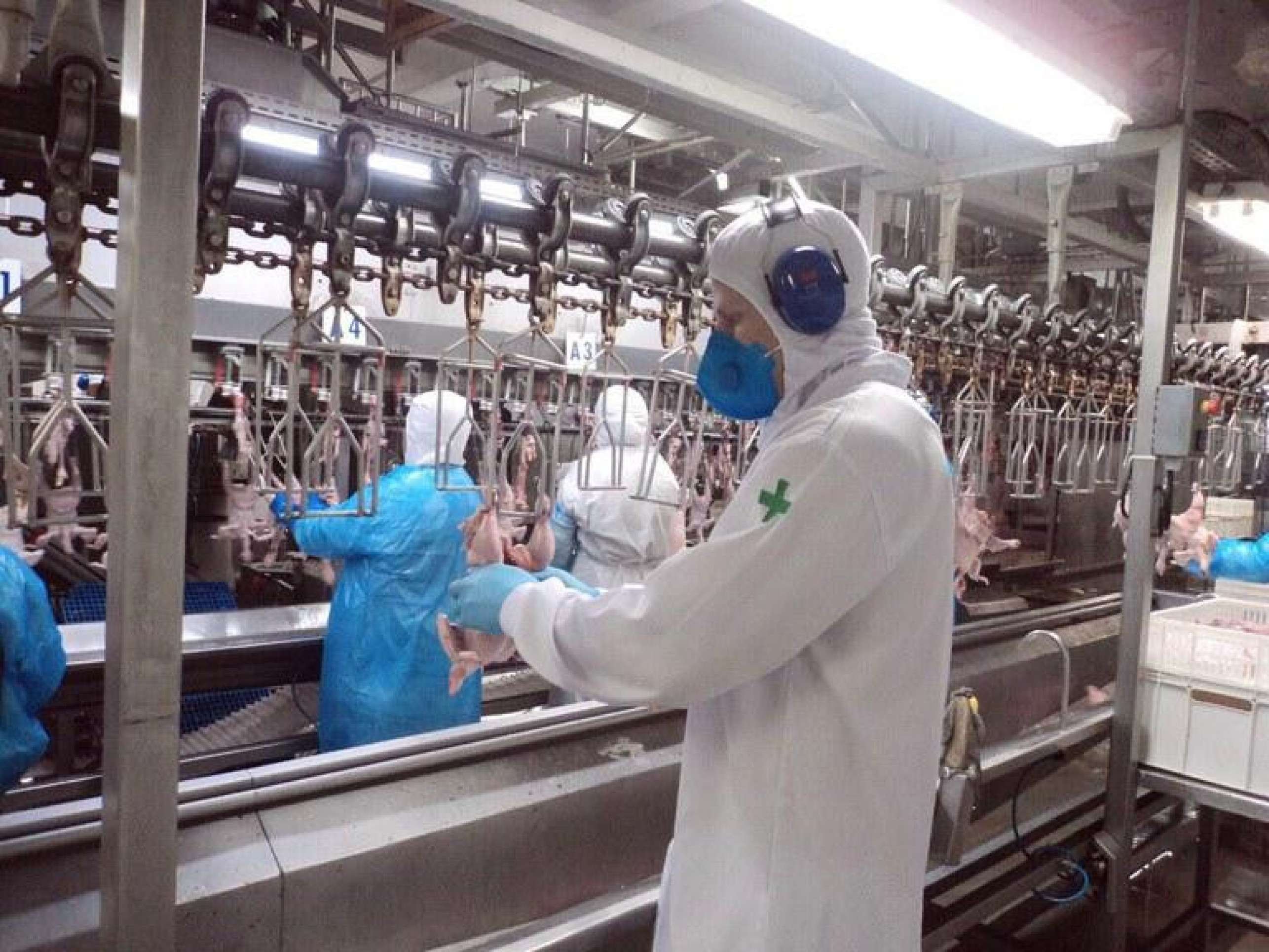 Agronegócio fica no meio do furacão criado com sobretaxa dos Estados Unidos