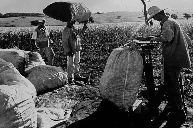 Luiza Venturelli fez uma seleção de impressões vintages para a exposição
