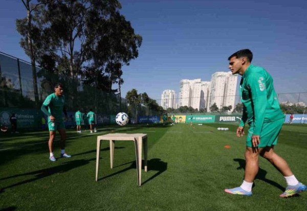 Foto: Cesar Greco/Palmeiras