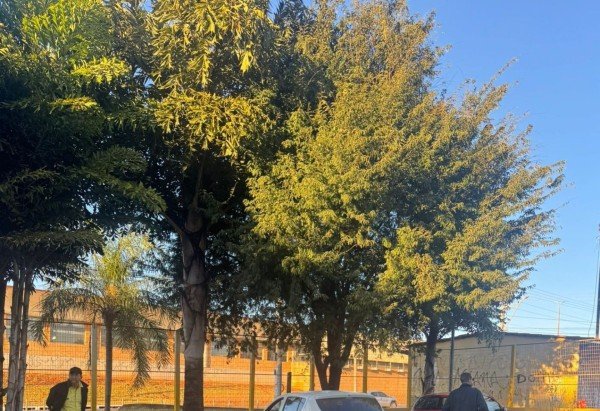 Divulgação/Detran-DF