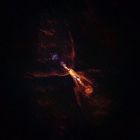 A HOPS-315, estrela bebê, dá pistas sobre o início da formação planetária      -  (crédito:  ALMA(ESO/NAOJ/NRAO)/M. McClure e)
