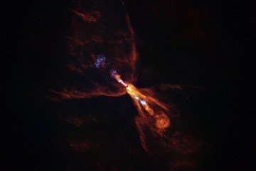 A HOPS-315, estrela bebê, dá pistas sobre o início da formação planetária      -  (crédito:  ALMA(ESO/NAOJ/NRAO)/M. McClure e)