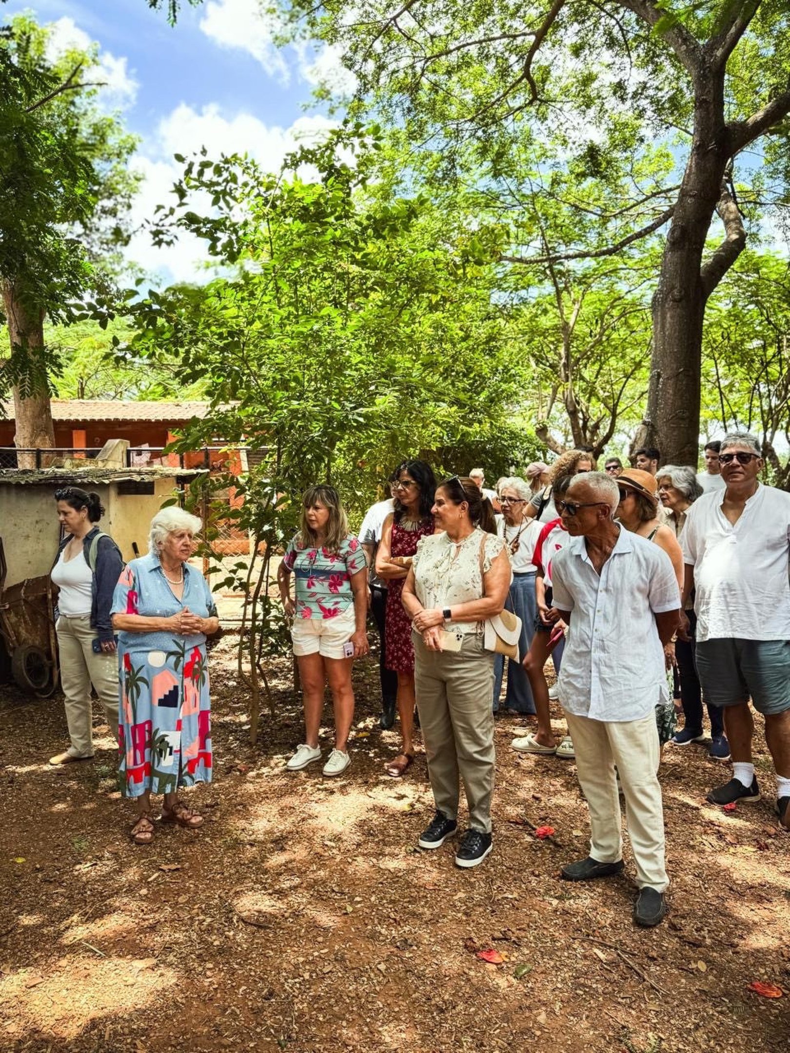 O perfume do Cerrado: a história e o sabor inconfundível da baunilha