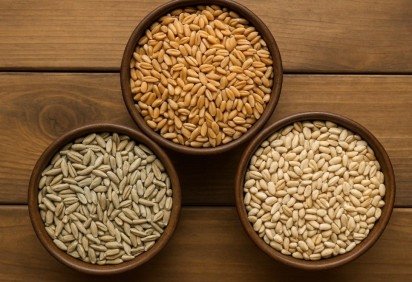 O glúten é uma proteína presente no trigo, centeio e cevada. Em pessoas sensíveis, ele pode provocar sintomas digestivos, inflamações e até problemas autoimunes. -  (crédito: Imagem gerada por i.a )