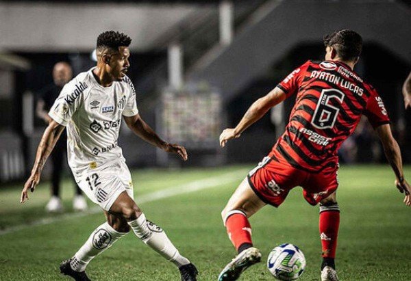 Foto: Raul Baretta/ Santos FC.