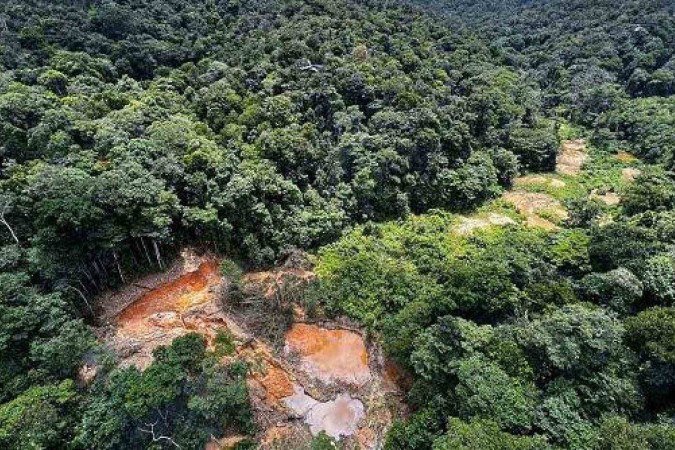 O vírus oropouche é um exemplo de patógeno endêmico da Amazônia que começou a se espalhar pelo Brasil e pelo mundo - (crédito: Getty Images) O vírus oropouche é um exemplo de patógeno endêmico da Amazônia que começou a se espalhar pelo Brasil e pelo mundo - (crédito: Getty Images)