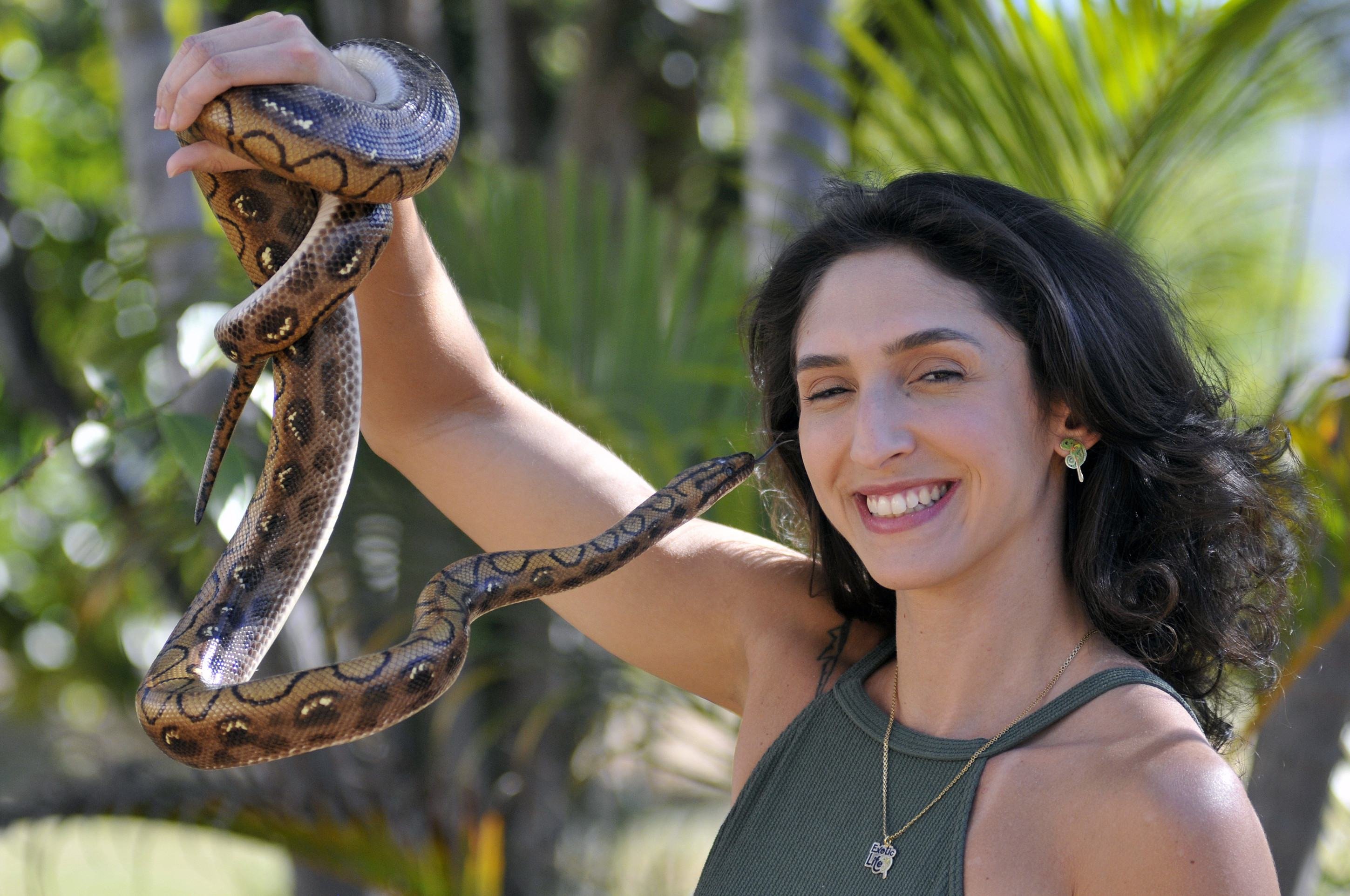 Conheça história de quem cria cobras de estimação no DF