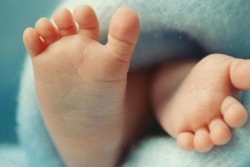 Foto de uma mitocôndria capturada com um microscópio — existem até meio milhão delas em um óvulo fecundado -  (crédito: BBC)