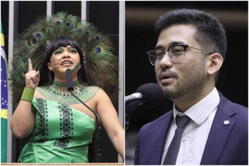 'Deputado estrangeiro' e 'cosplay': 'PL da Devastação' é marcado por brigas
