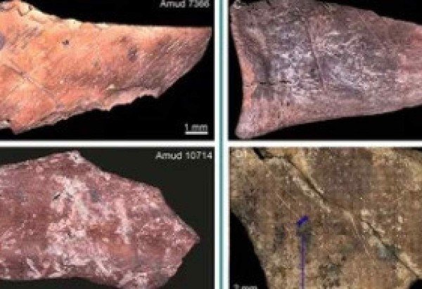 Universidade Hebraica de Jerusalem 