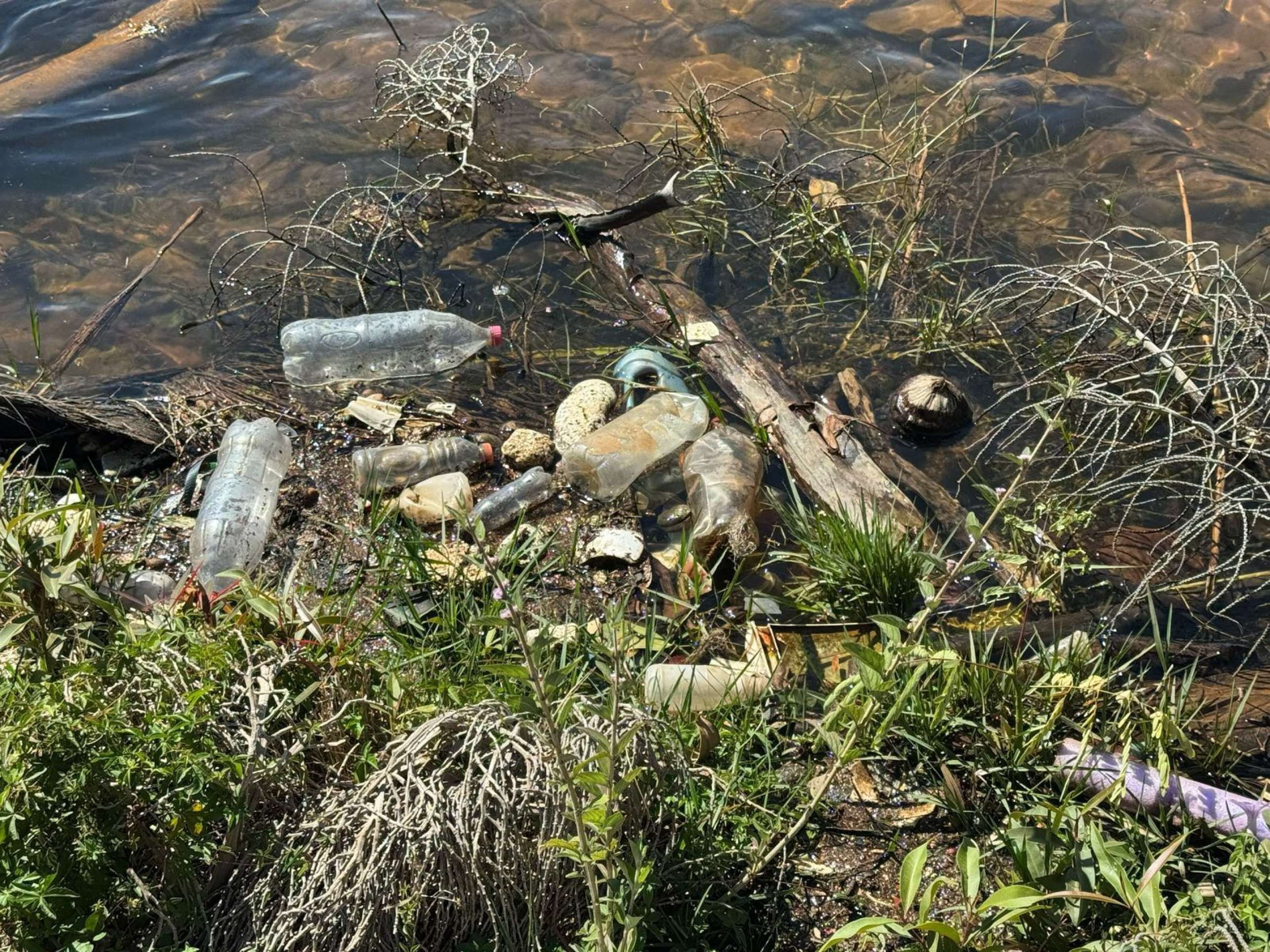 Garrafas de plástico e sacolas espalhadas pelo Lago Paranoá