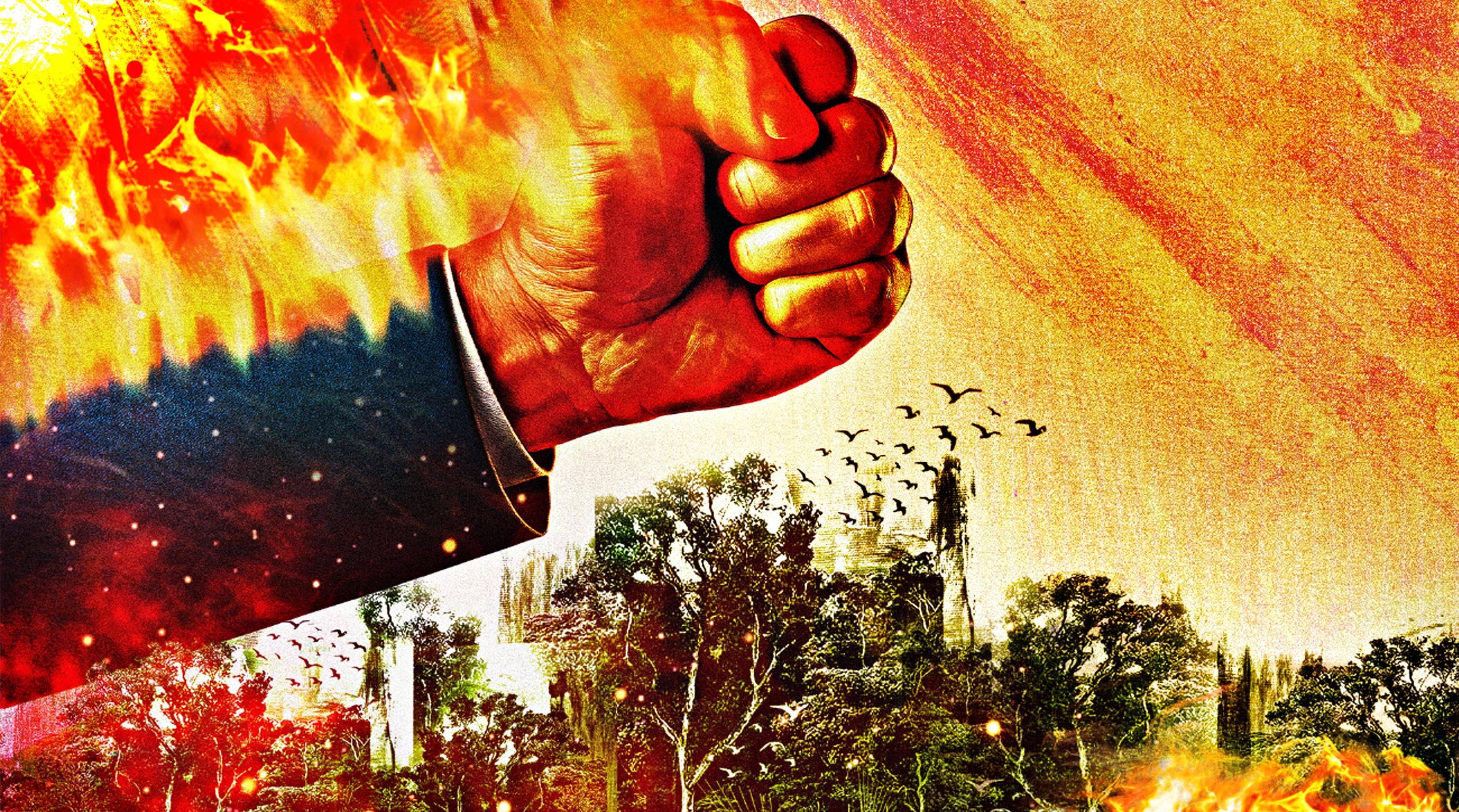 Devastação ambiental e caos jurídico à vista