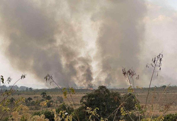 Davi Cruz/CB/DA Press