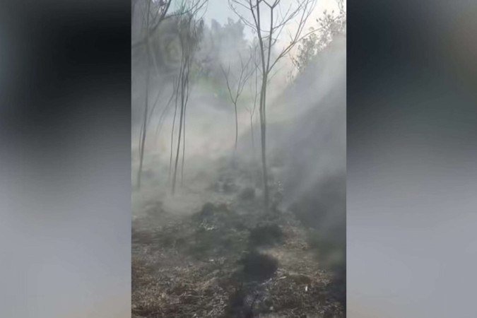 Incêndio de grandes proporções atinge área de 20 mil m² no Gama -  (crédito: Coisas do Gama/Divulgação)