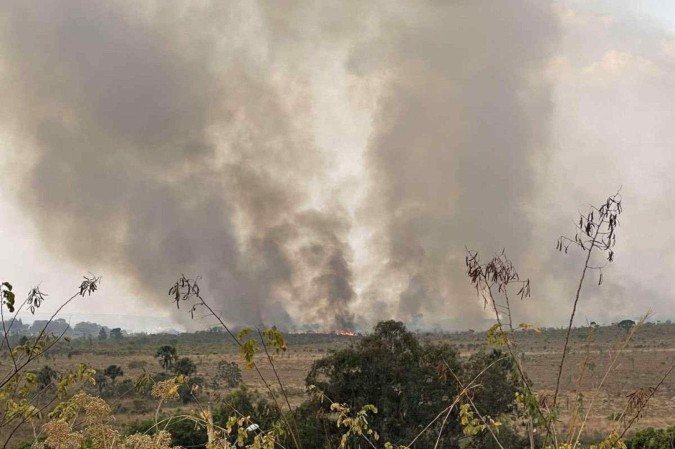 Incêndios destroem vegetação, matam animais e é perigo para pessoas - (crédito: Davi Cruz/CB/DA Press) Incêndios destroem vegetação, matam animais e é perigo para pessoas - (crédito: Davi Cruz/CB/DA Press)