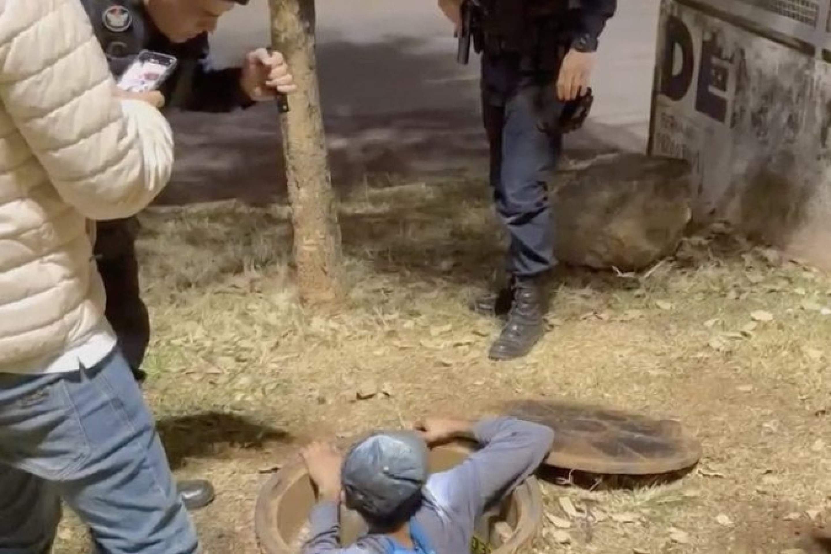 Furtos de cabos crescem no DF e causam prejuízos milionários a empresas