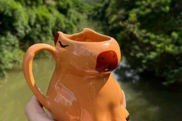 A capivaras se tornaram ícones 