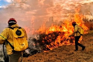DF investe em tecnologia para proteger o cerrado de incêndios florestais