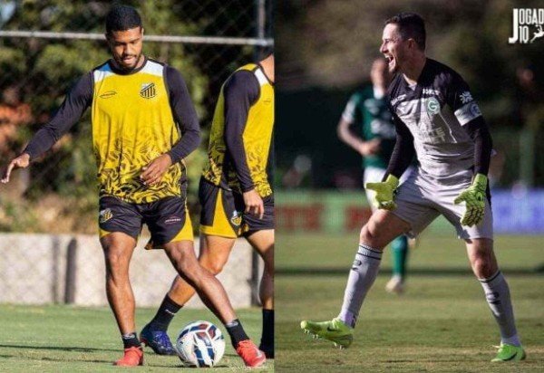 Foto: Divulgação/Novorizontino e Divulgação/Goiás