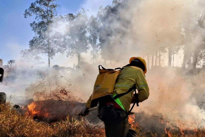 DF investe em tecnologia para proteger o cerrado de incêndios florestais -  (crédito: Divulgação)