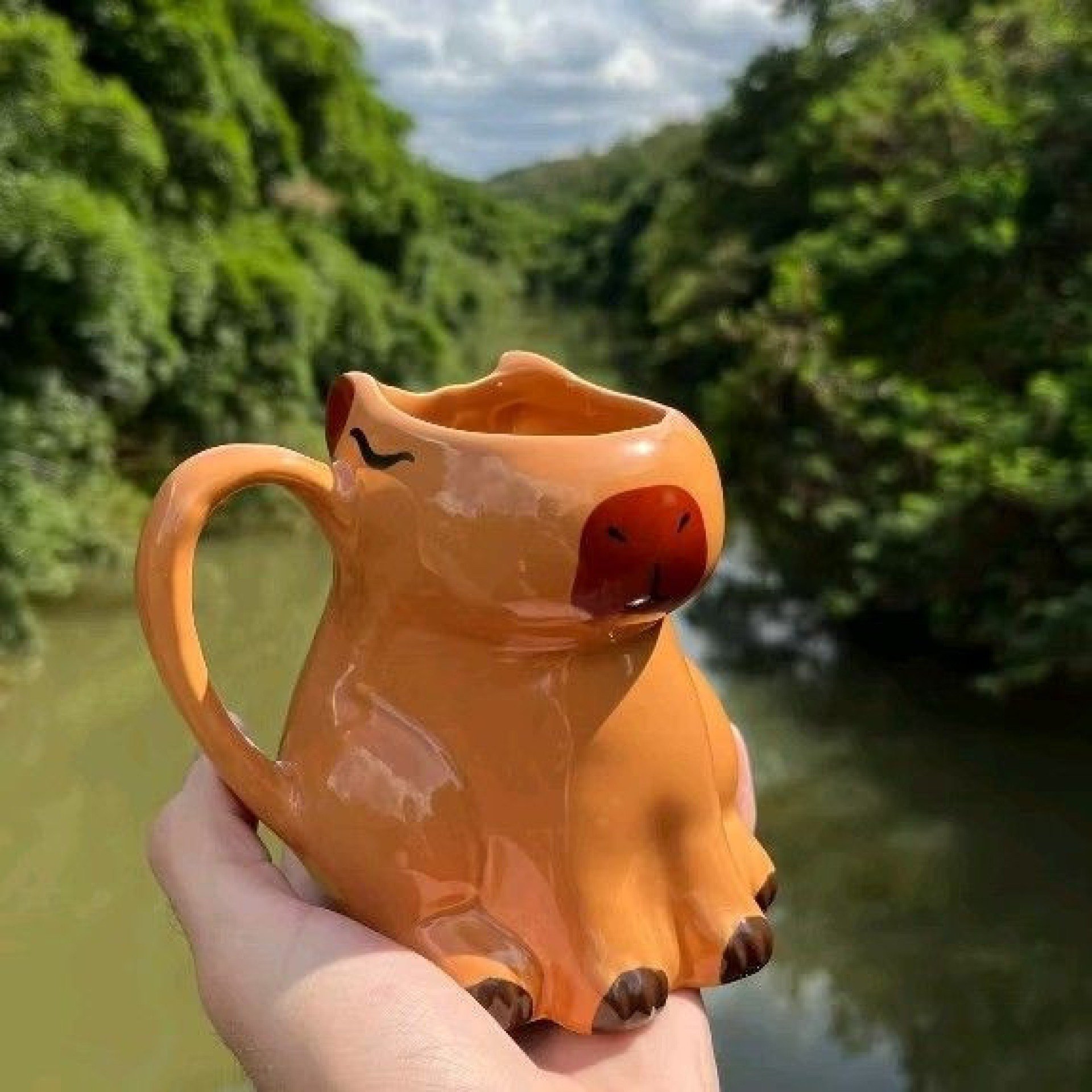 A capivaras se tornaram ícones 