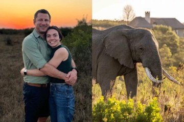 FC Conradie, de 39 anos, morreu após ser pisoteado por elefante da própria reserva -  (crédito: Reprodução/Instagram; Divulgação/Gondwana Private Game Reserve)