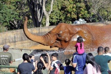 Zoológico de Brasília terá entrada gratuita no Dia das Crianças - (crédito: Minervino Júnior/CB/D.A.Press) Zoológico de Brasília terá entrada gratuita no Dia das Crianças - (crédito: Minervino Júnior/CB/D.A.Press)