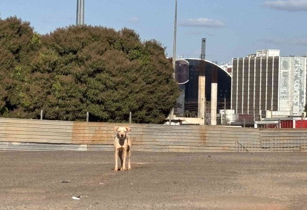 Leonardo Rodrigues/CB/DA Press